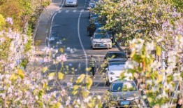 深圳小宋最新爆料事件是真的吗,真相还是谣言？